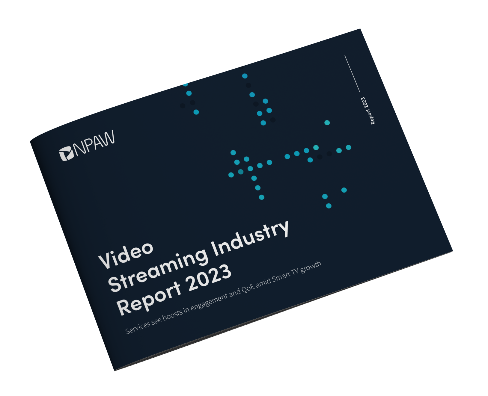 Streaming Industry report